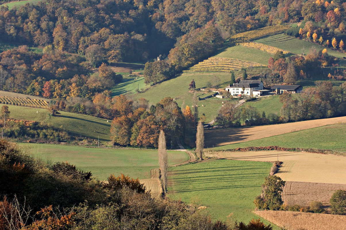 Vue des coteaux en Cœur de Béarn