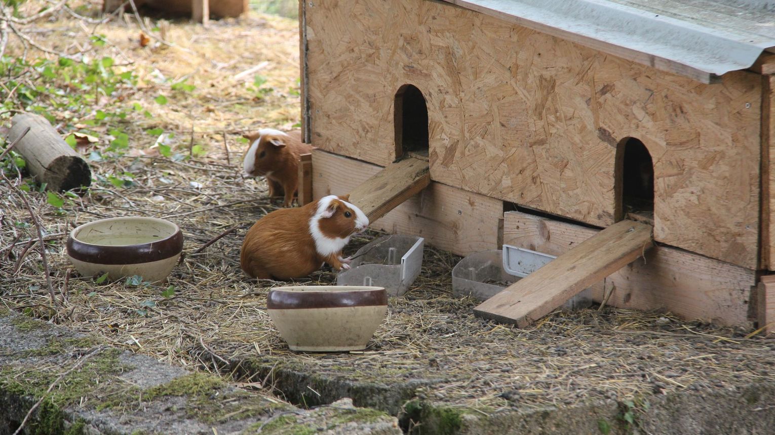 Ferme pédagogique des Marnières - ORTHEZ