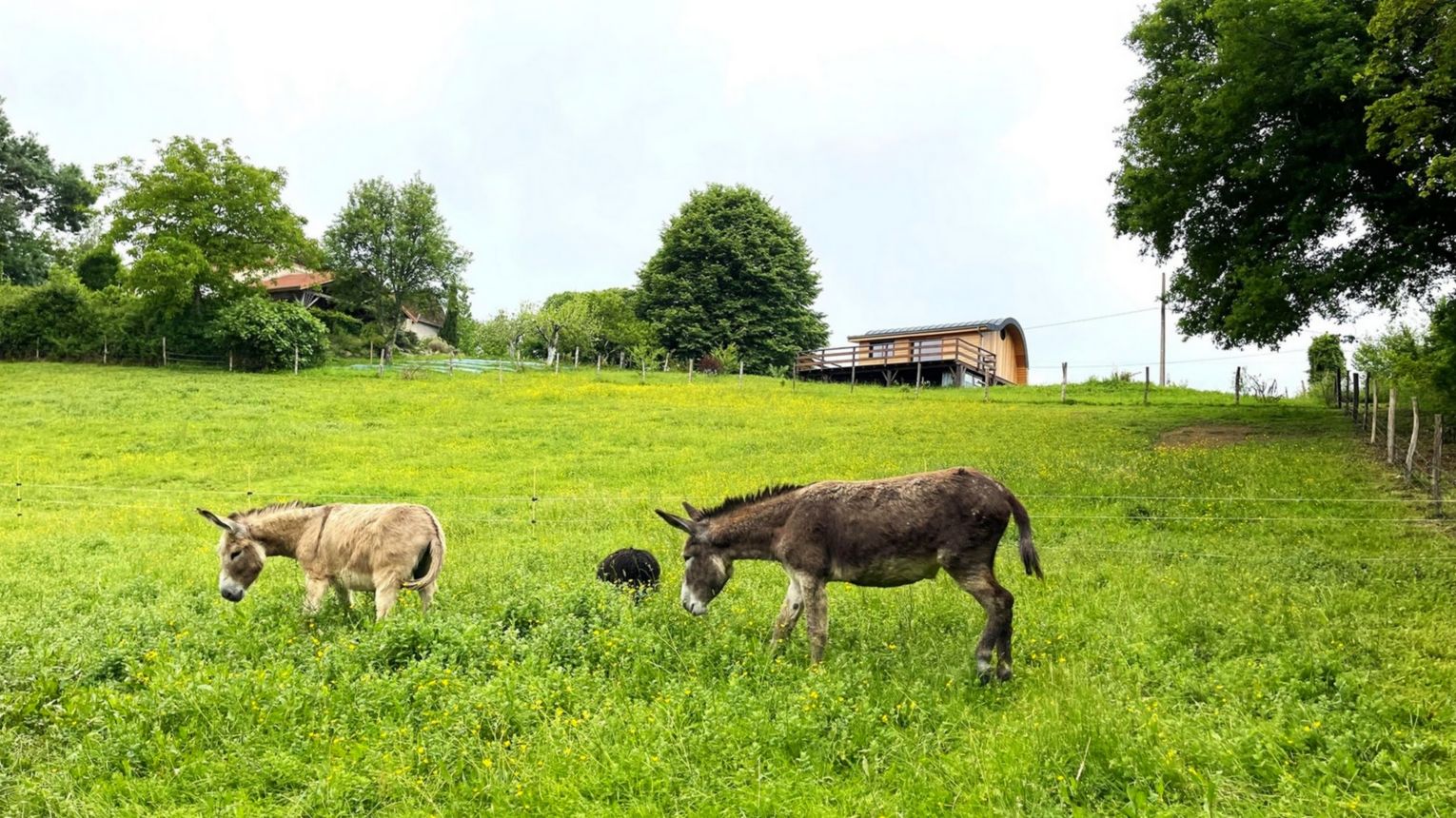 Cabane La Pocquita - SALLES-MONGISCARD