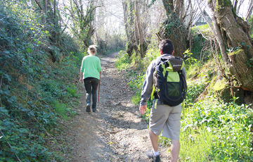 Balades dans les bois en Coeur de Béarn