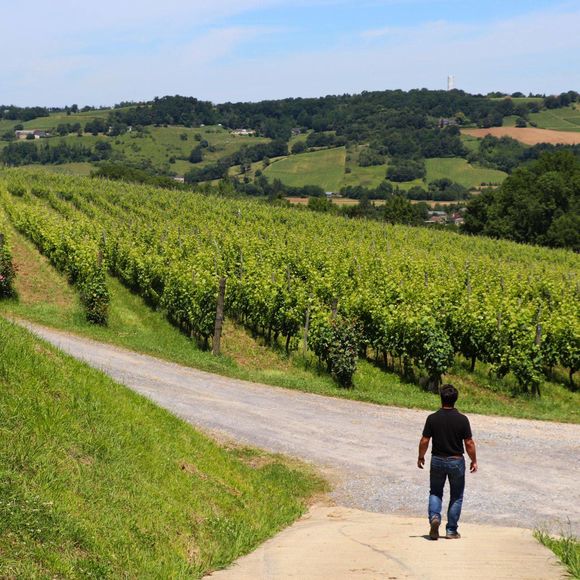 Balade vigneronne : Domaine Montesquiou - MONEIN