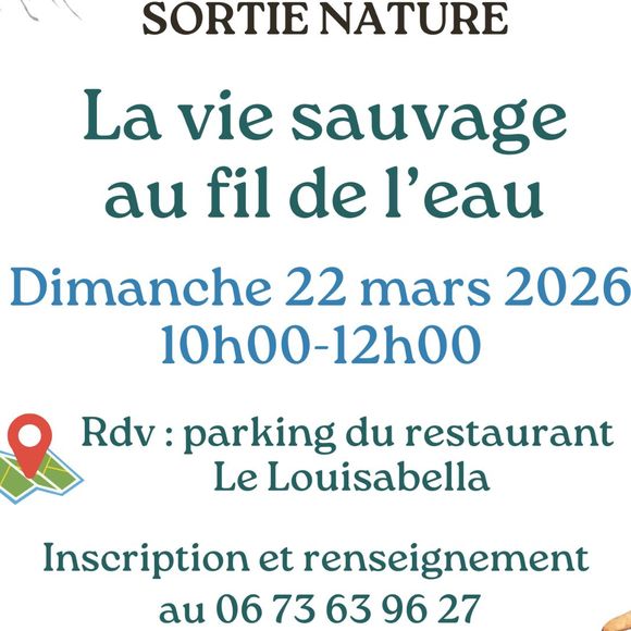 Sortie Nature : La vie sauvage au fil de l'eau - ORTHEZ