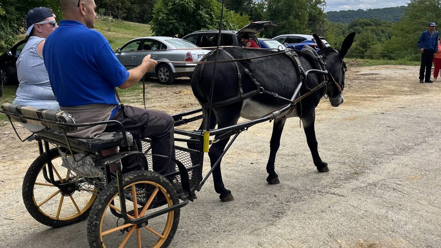 Lait p'tits béarnais - CASTETIS