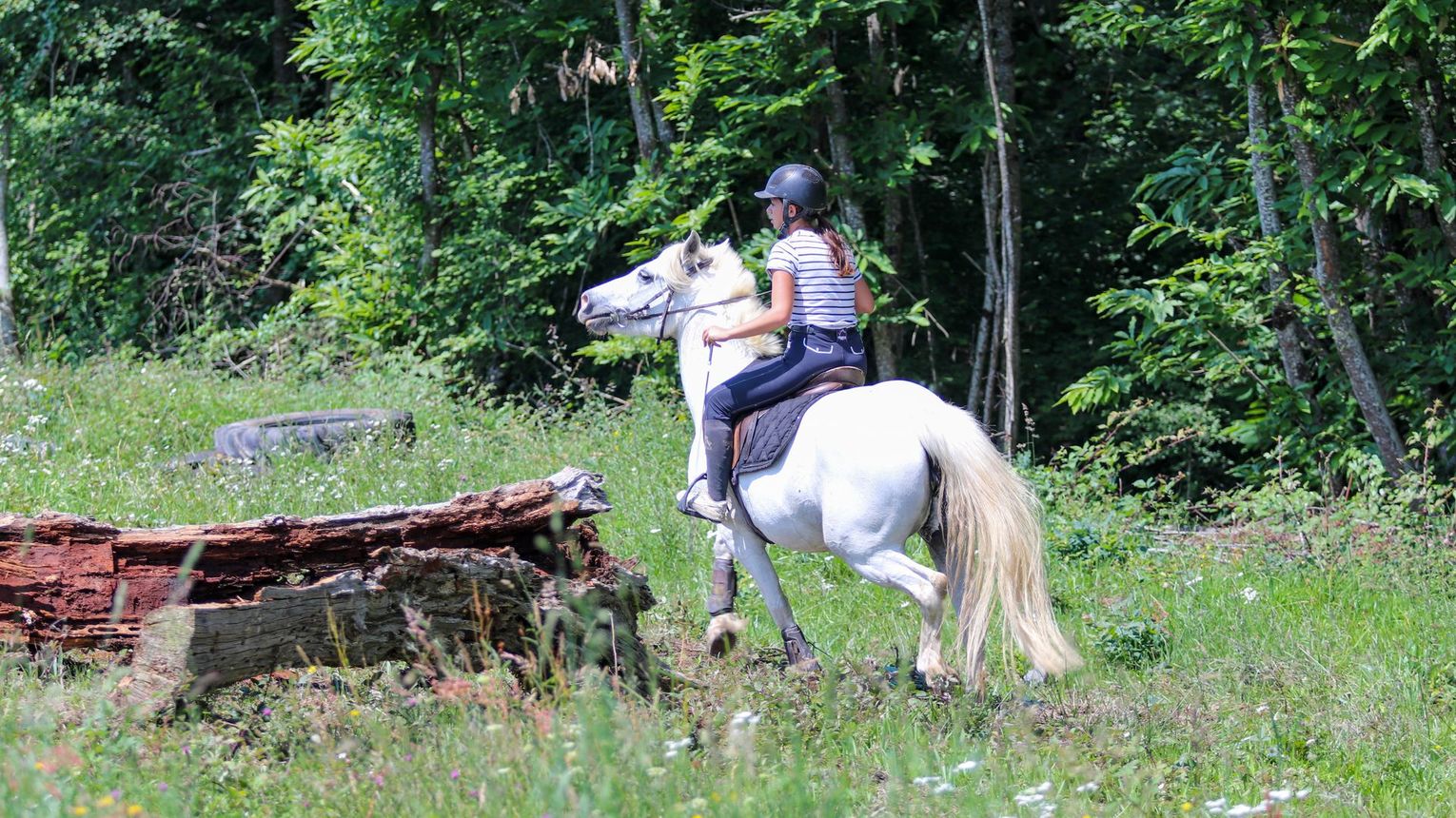 Parc d'aventures à cheval - VIELLESEGURE