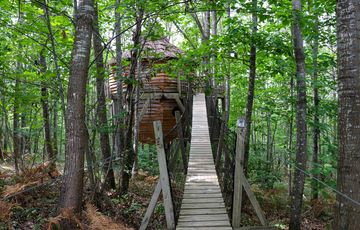Dormir en haut des arbres, une expérience à vivre dans les cabanes des Nids du Béarn