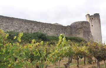 Le château de Bellocq