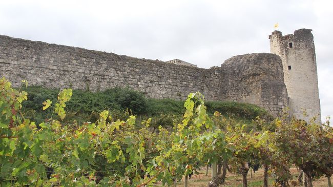 Le château de Bellocq