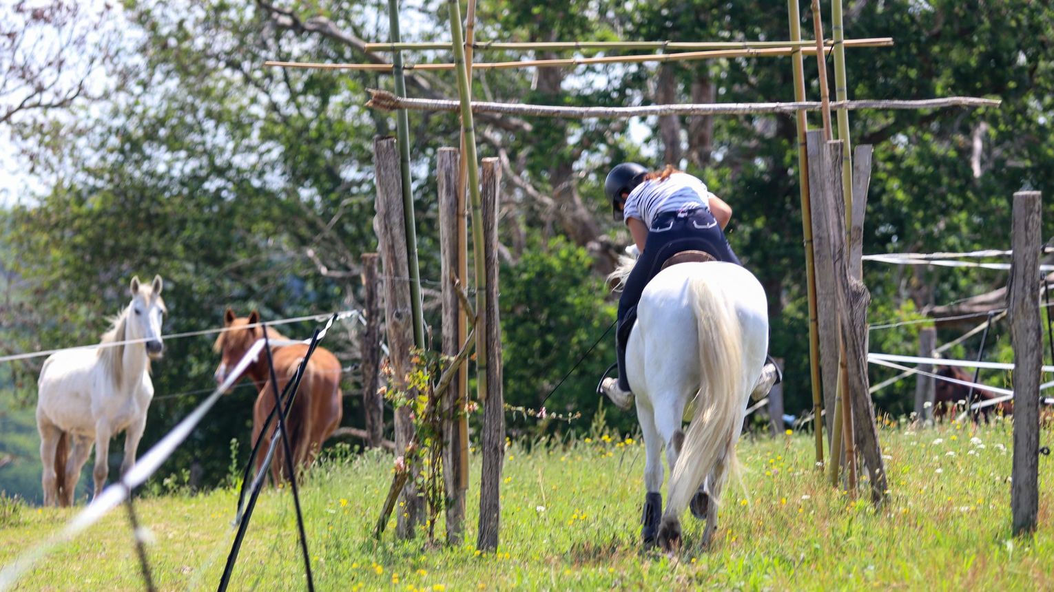 Parc d'aventures à cheval - VIELLESEGURE