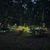 Soirée accrobranche nocturne - LACQ