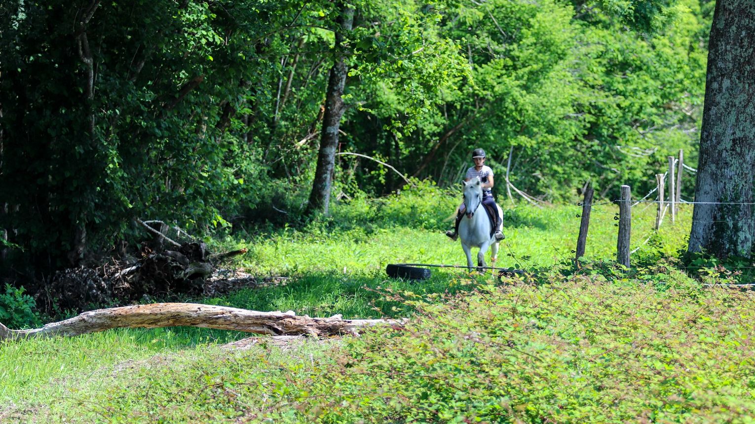 Parc d'aventures à cheval - VIELLESEGURE