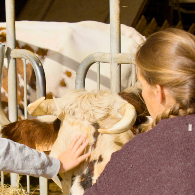 RDV à la Ferme - Coeur de Béarn
