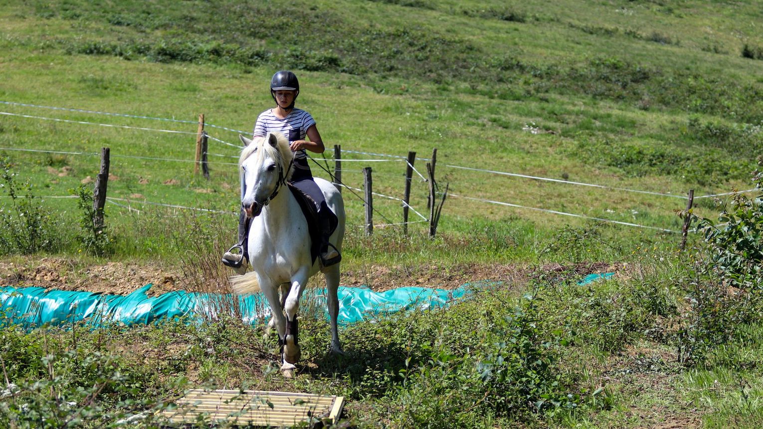 Parc d'aventures à cheval - VIELLESEGURE