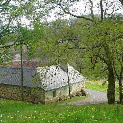 Ferme Castagnet - LUCQ-DE-BEARN