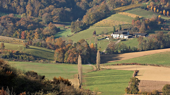 Vue depuis les coteaux de Monein