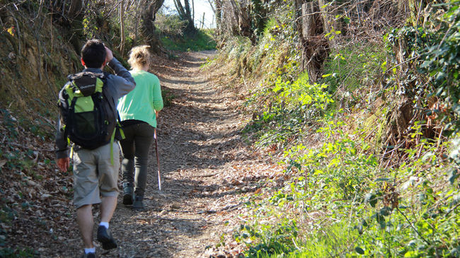 Sentier de promenade en Coeur de Béarn