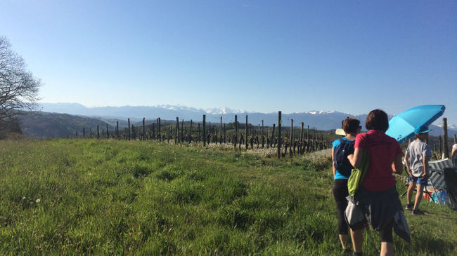 Viewpoint for the Pyrénées from the walk of Cuqueron