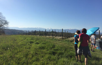 Vue imprenable sur les Pyrénées depuis la boucle de Cuqueron en Béarn