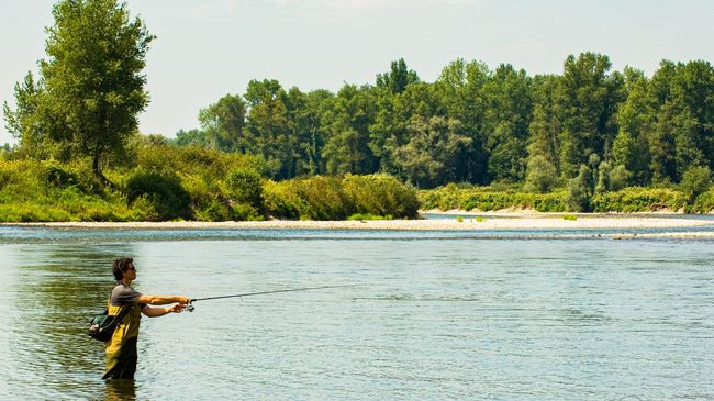 Pêche sur la Gave de Pau Béarn