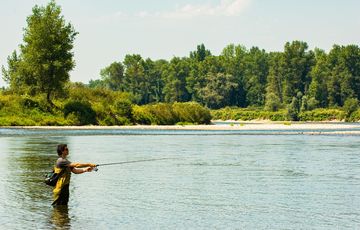 Pêche sur la Gave de Pau Béarn