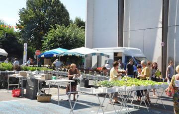 Mercado de Orthez los sábados por la mañana