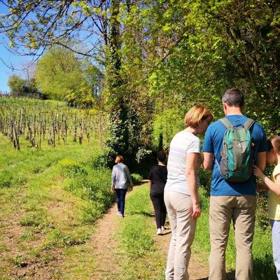 Terra Aventura : "Le Jurançon du succés" - MONEIN