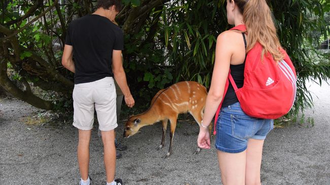 Le zoo d'Asson