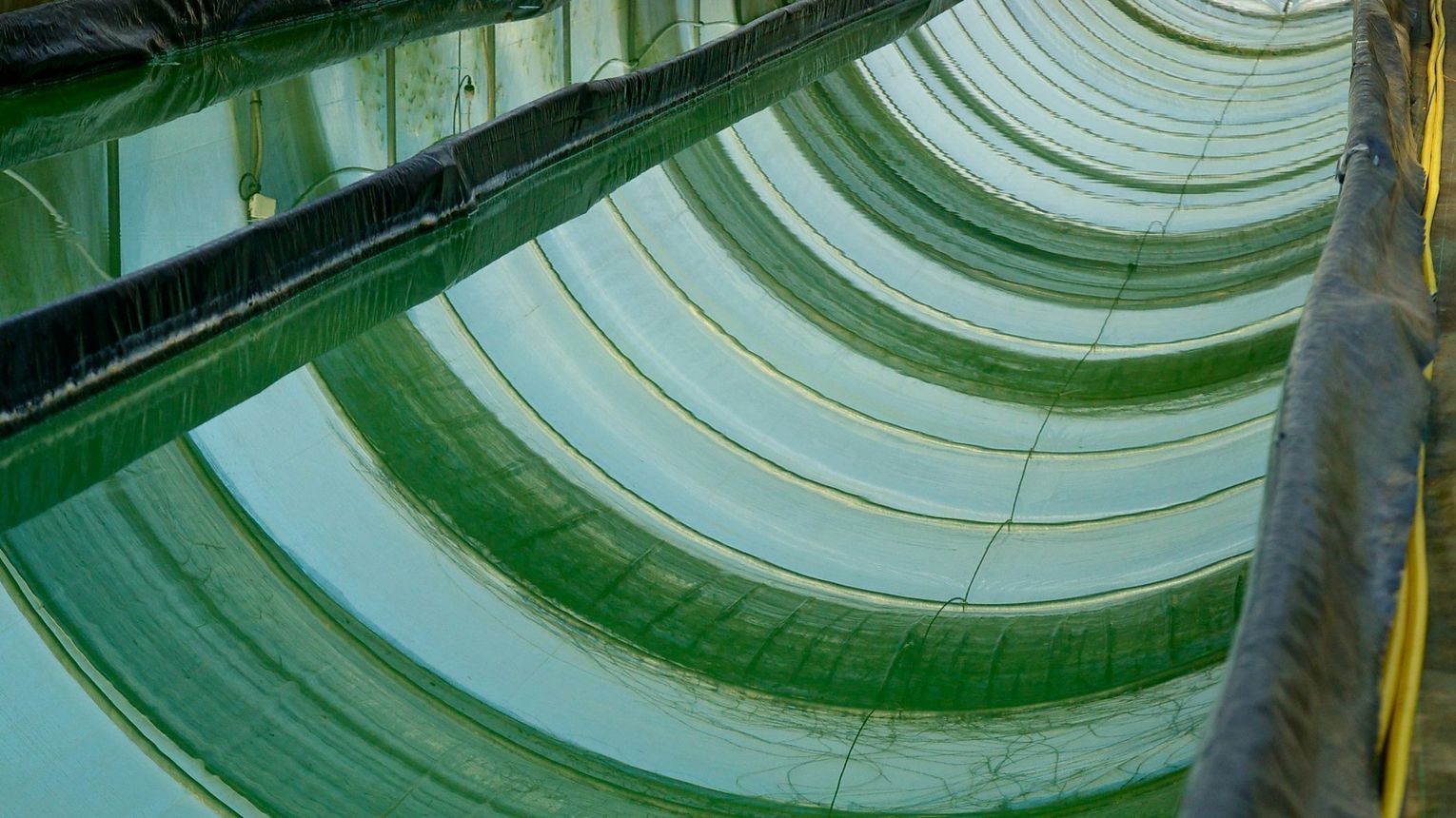 Spiruline d'Aquitaine - ARGAGNON