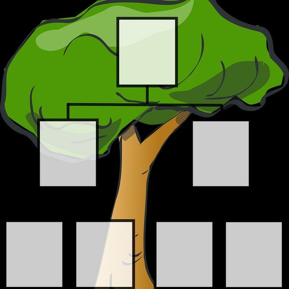 Atelier : Généalogie - MONEIN
