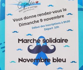 Marche solidaire : Novembre bleu - SALLES-MONGISCARD