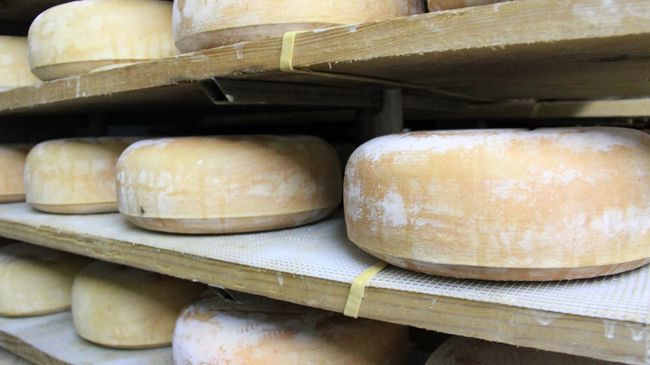 Fromage de brebis des Pyrénées