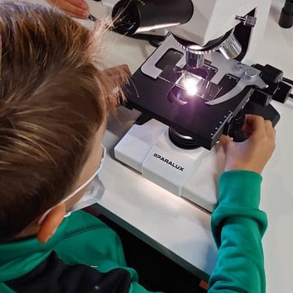 Atelier ADN ? Elémentaire mon cher Watson - ORTHEZ
