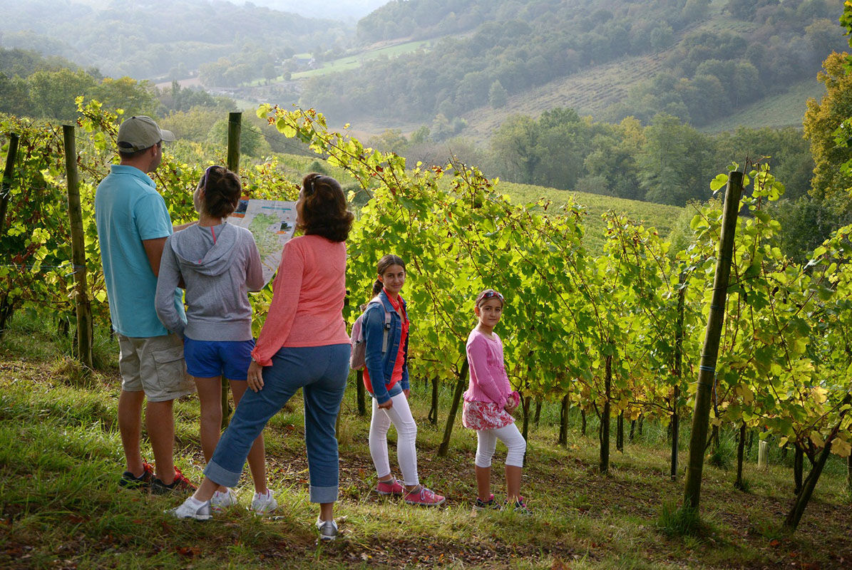 Balades en famille dans les vignes du Jurançon en Béarn