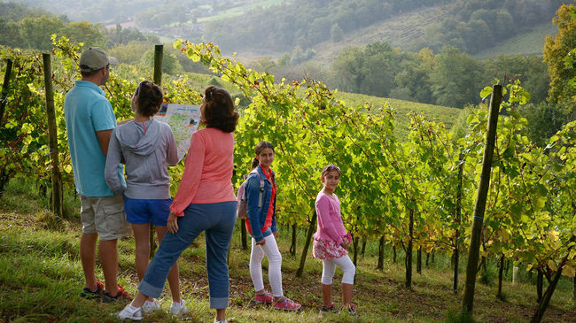 Balades en famille dans les vignes du Jurançon en Béarn