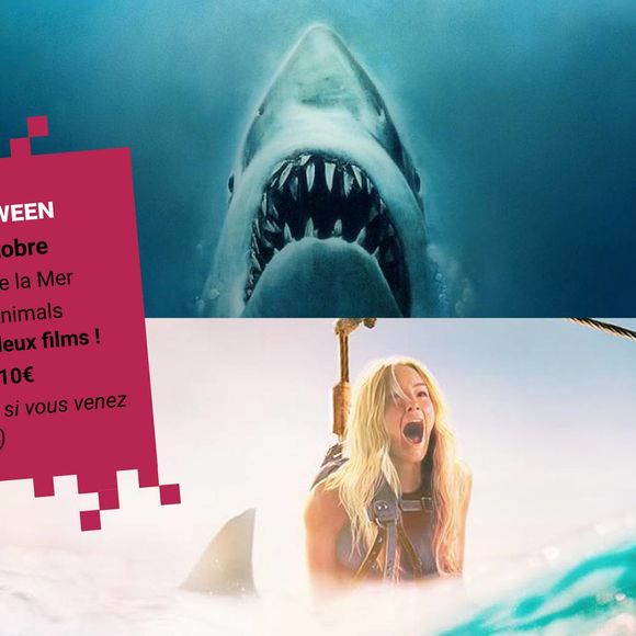 Soirée Halloween Spécial Requins - ORTHEZ