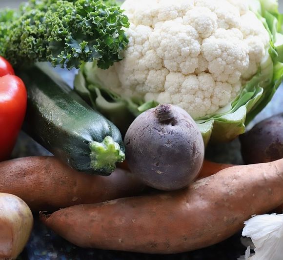 Atelier : La cuisine éco-responsable - MOURENX
