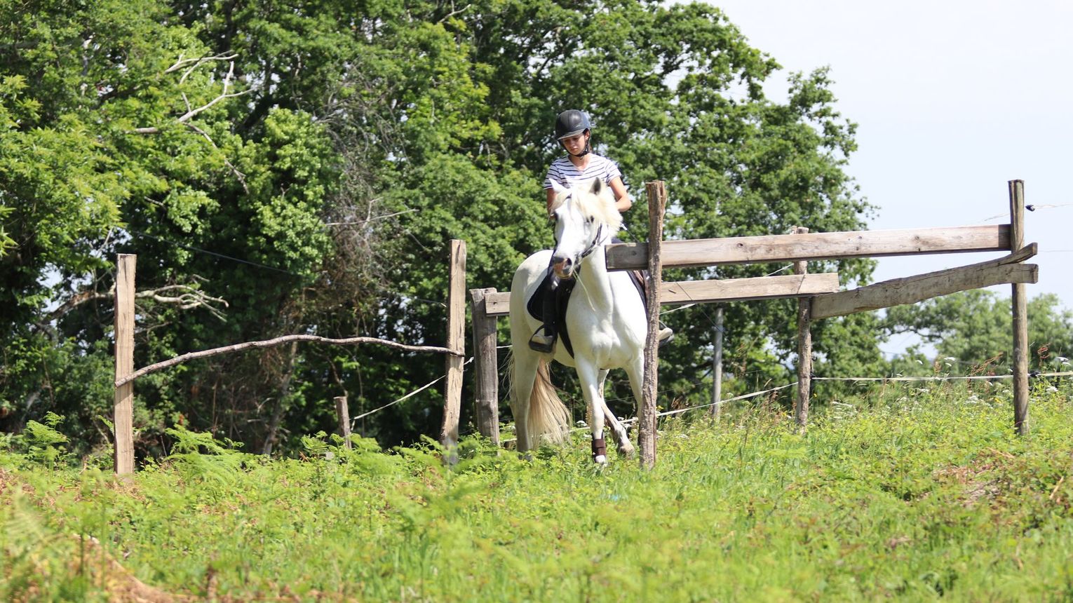 Parc d'aventures à cheval - VIELLESEGURE