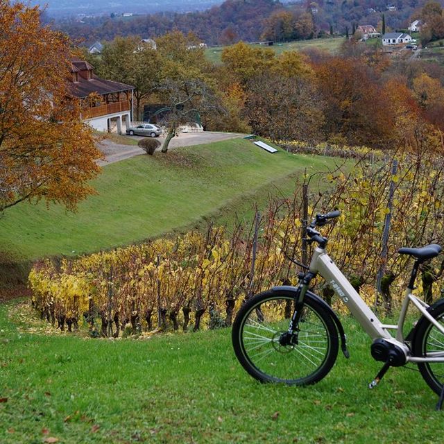 Balades à vélo électrique - Monein, Vignoble du Jurançon