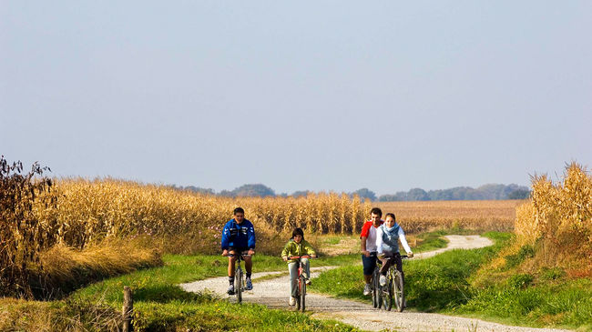 Balade sur la Vélosud