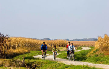 Balade à vélo sur la V81