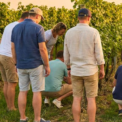 Soupçons en Jurançon - LUCQ-DE-BEARN