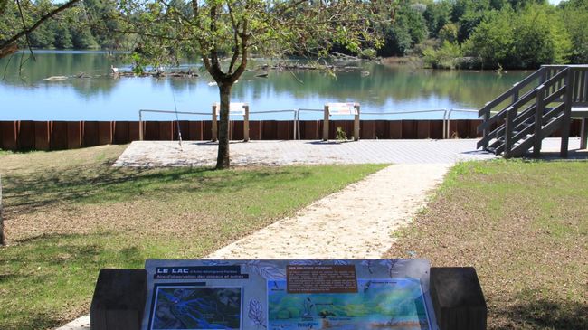 Saligue du lac d'Artix Besingrand Pardies
