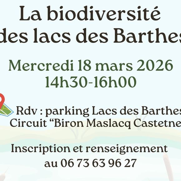Sortie nature : La biodiversité des lacs - BIRON