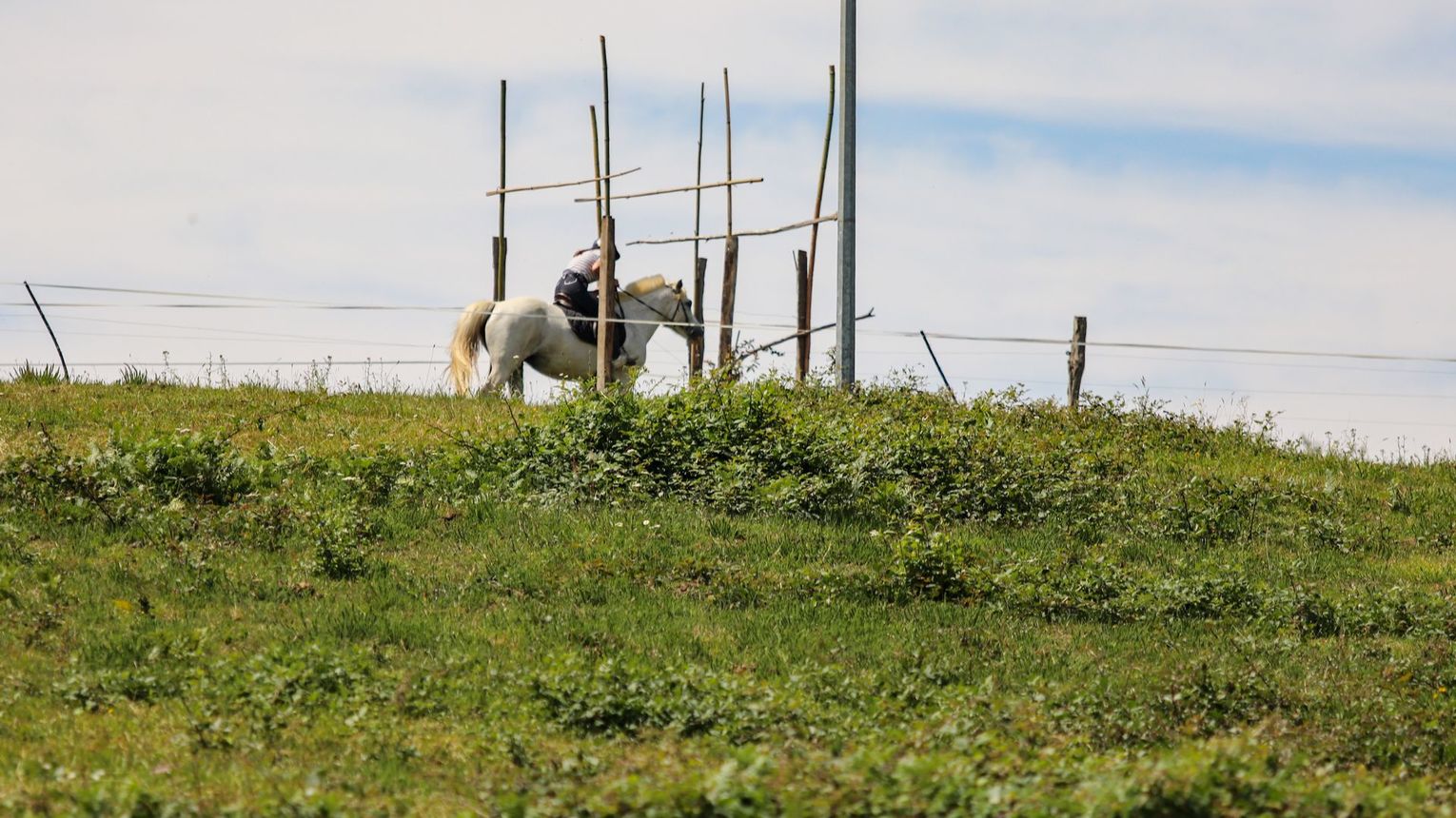 Parc d'aventures à cheval - VIELLESEGURE