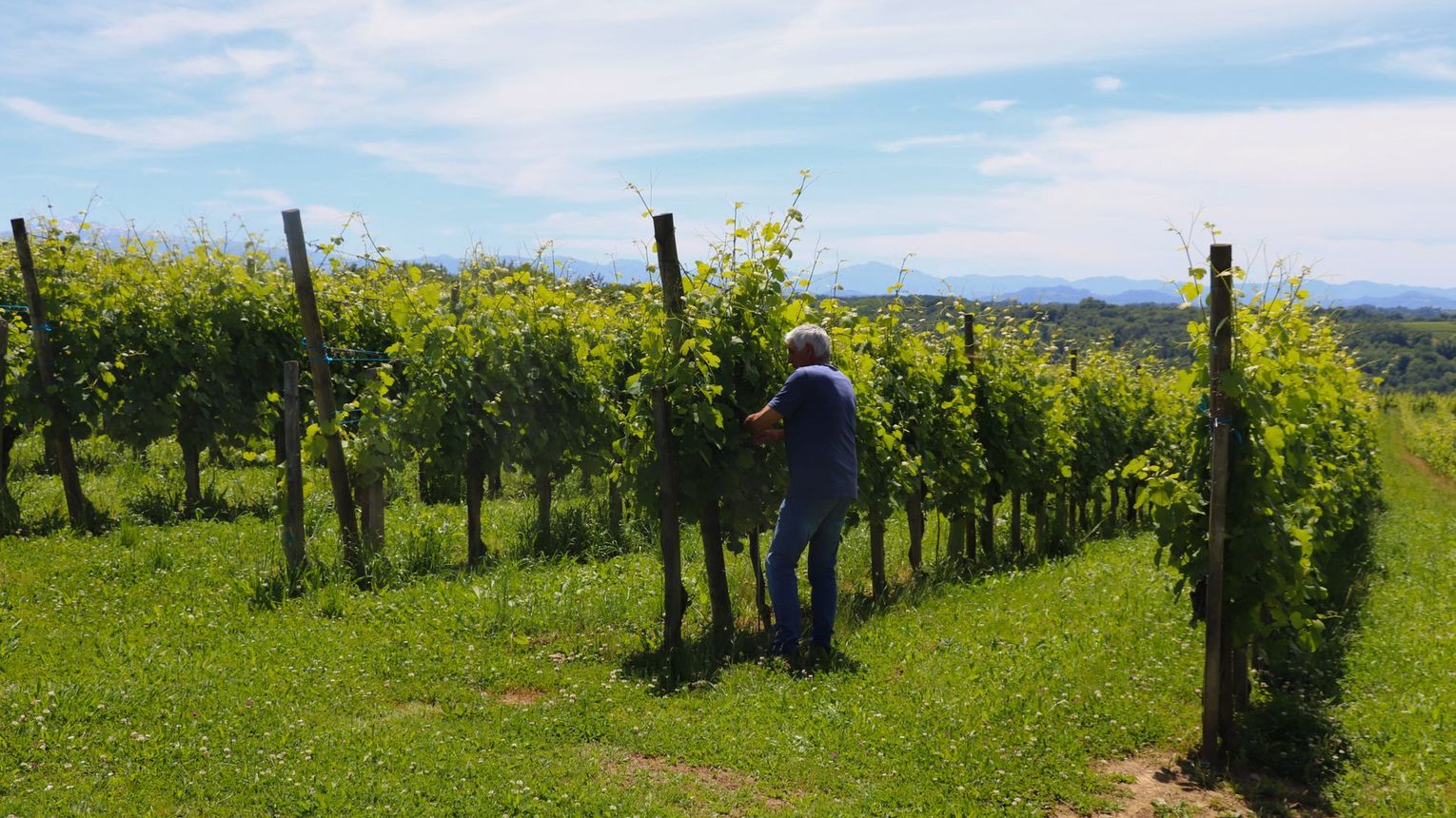Domaine Malarrode - MONEIN