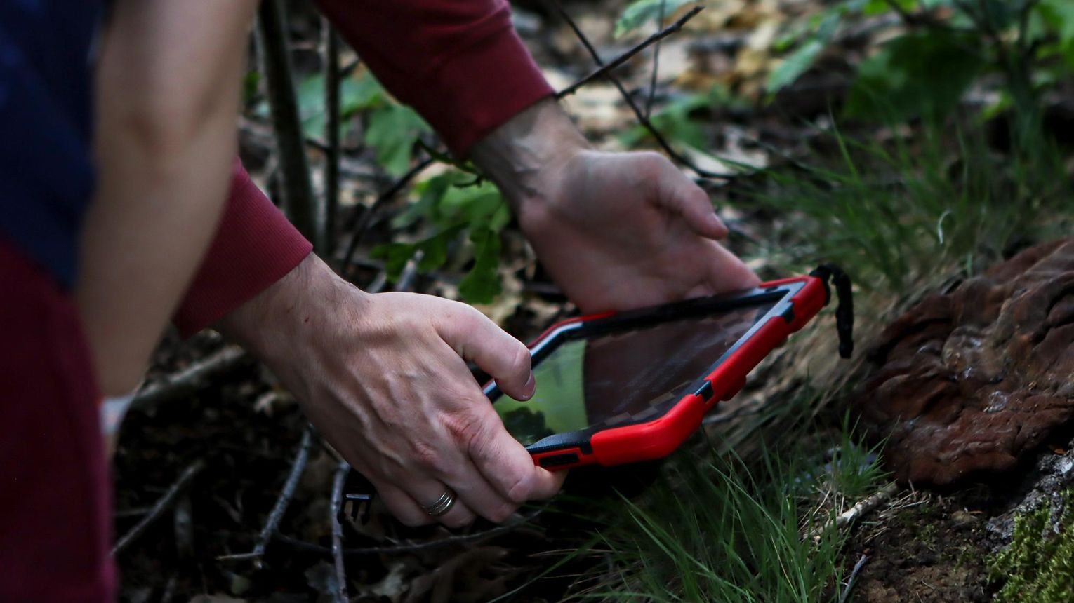 Lacq Aventure - LACQ