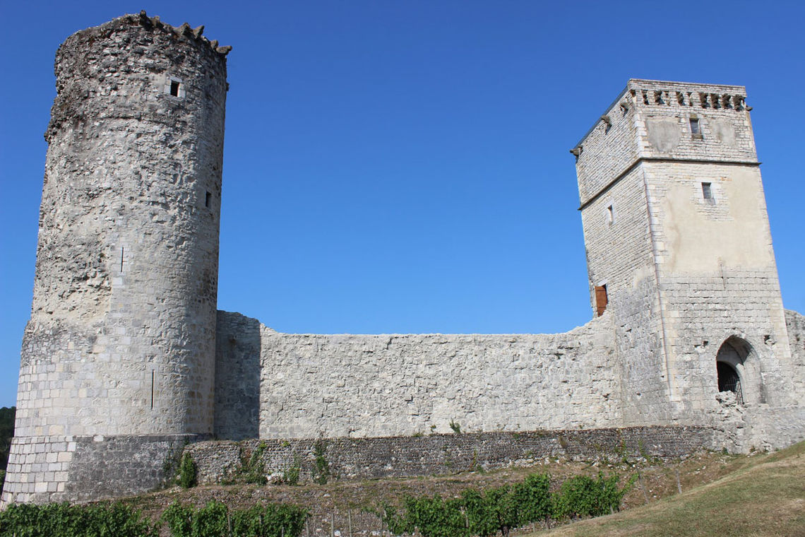 Vestiges du Château de Bellocq édifié au 13è s