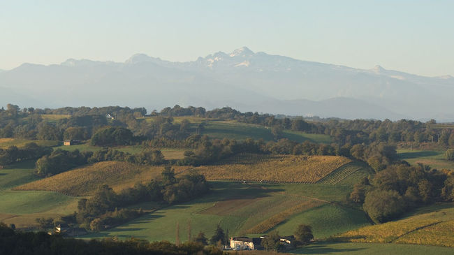 Pyrénées vue depuis les environs de Monein