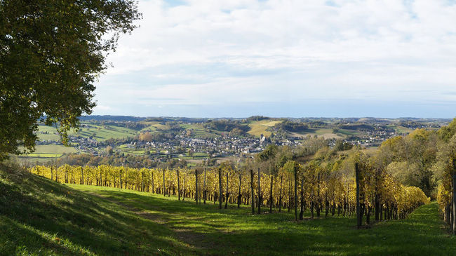 Monein vu depuis le vignoble du Jurançon