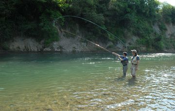 Salmon fishing in the Gave d'Oloron