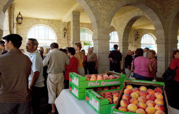 Plateaux de pêches Roussanne